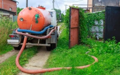 Tree Roots in Septic Lines: How to Detect and Prevent Damage in Northern Virginia