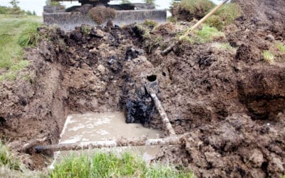 Why is There Water Pooling Over My Drain Field in Northern Virginia?